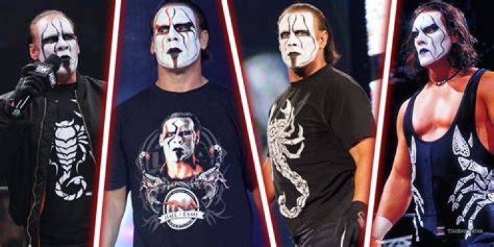 Discovering The Legacy Of The Sting Wrestler Family