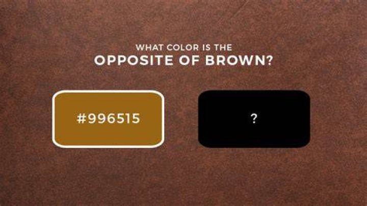 Discovering The Opposite Color Of Brown