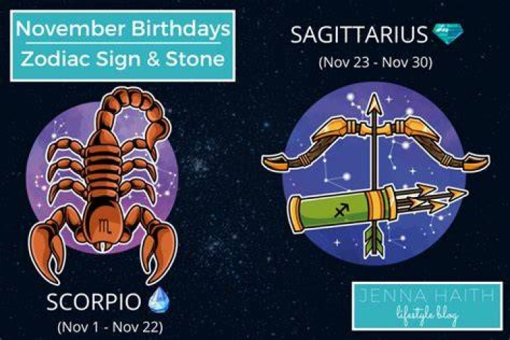 Discovering The Zodiac Sign For November 20: What Sign Is November 20?