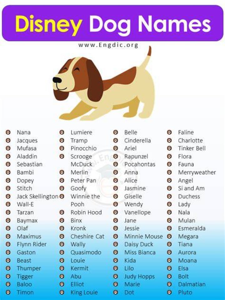 Disney Dog Names Based on Disney Characters Pet Guide Reviews