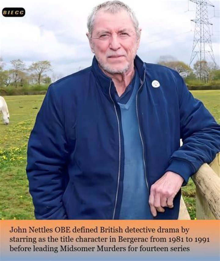 Distinguished Actor: Tom Nettles' Career Highlights