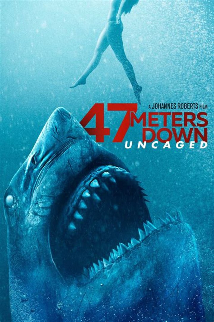 Does Sasha Die In 47 Meters Down? An In-Depth Look