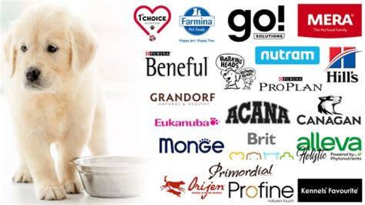 Dog Years: The Ultimate Dog Brand For Your Furry Friends