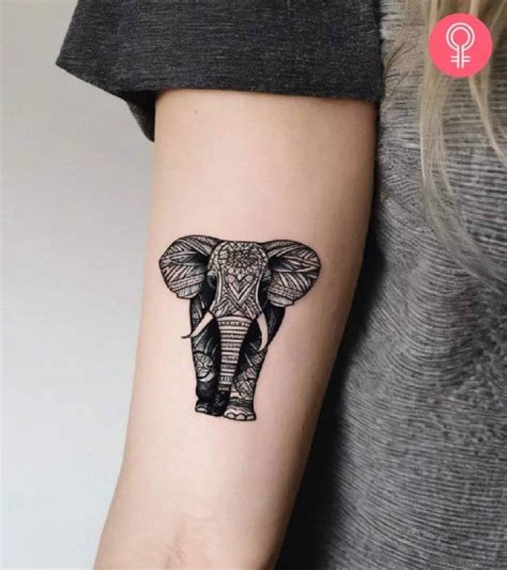Elephant Tattoo Ideas For Females