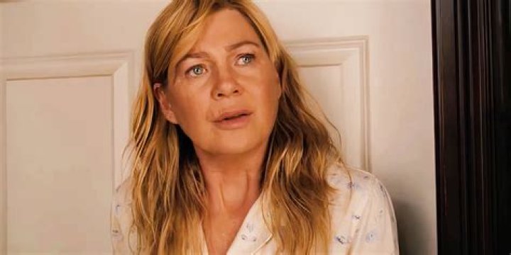 Ellen Pompeo's 3 Kids With Chris Ivery Meet Stella, Sienna and Eli