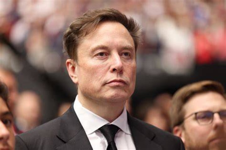 Elon Musk NeekaNatalia