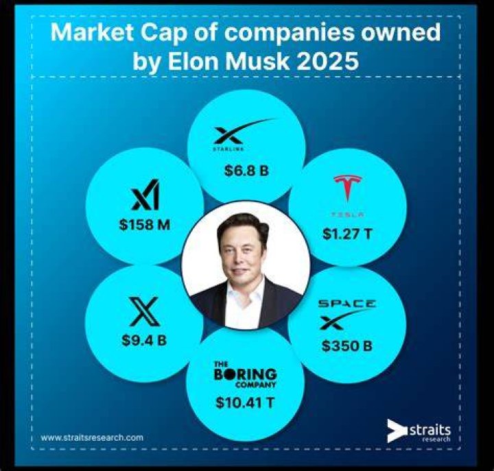 Elon Musk's Latest Business Ventures And Future Goals