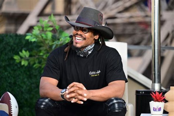 ESPN Panelist Cam Newton Saying Critics Are Not Racist Is &lsquo;Damaging&rsquo;