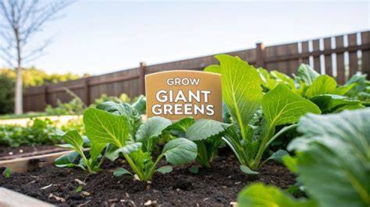 Everything On Growing Your Greens Host ·