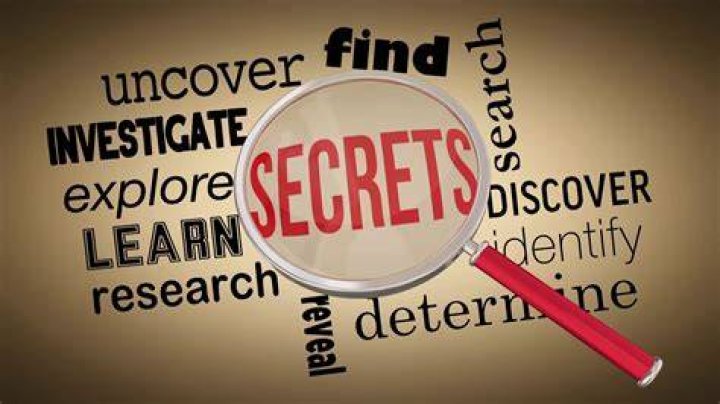 Exclusive: Uncovering The Secrets Of Cristina Camella's Leaked Data
