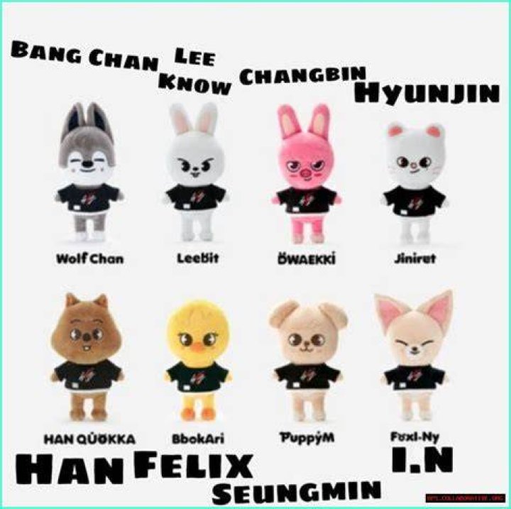 Exploring The Adorable World Of SKZOO Names