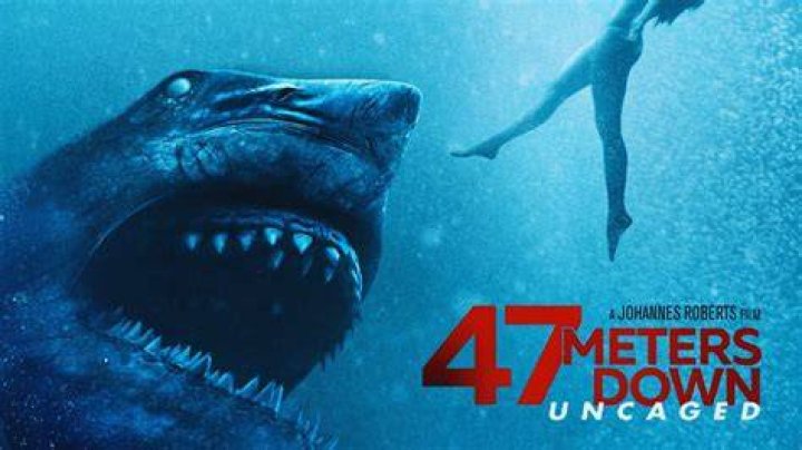 Exploring The Depths: The Thrilling Journey Of 47 Meters Down Uncaged Sasha