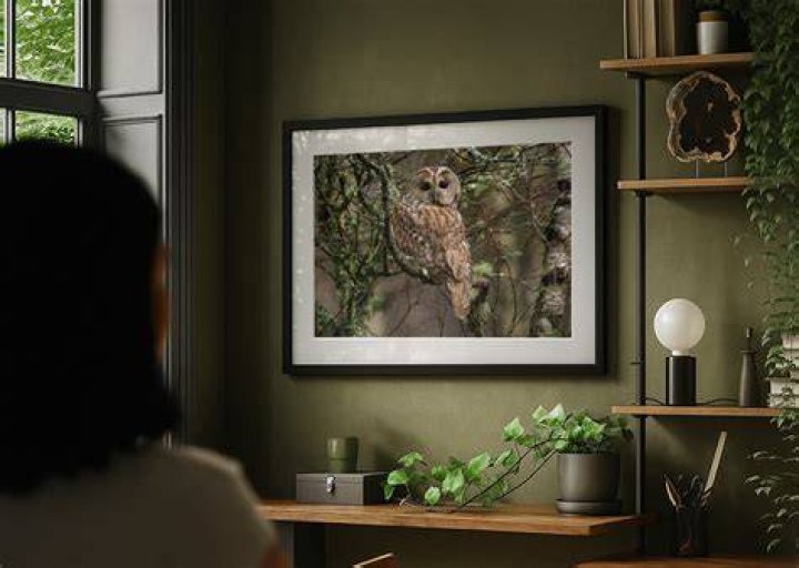 Exploring The Enigmatic Tawny Kittean