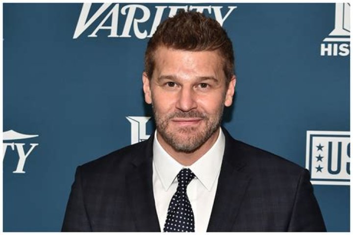Facts About David Boreanaz&rsquo;s ExWife, Ingrid Quinn Bio, Age, Divorce