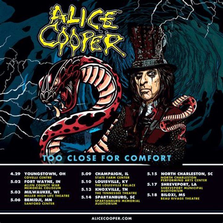 FAIRY FOREST Alice cooper, Alice cooper wife, Alice sweet alice