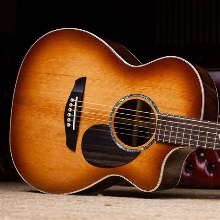 Faith Guitars &reg; Official