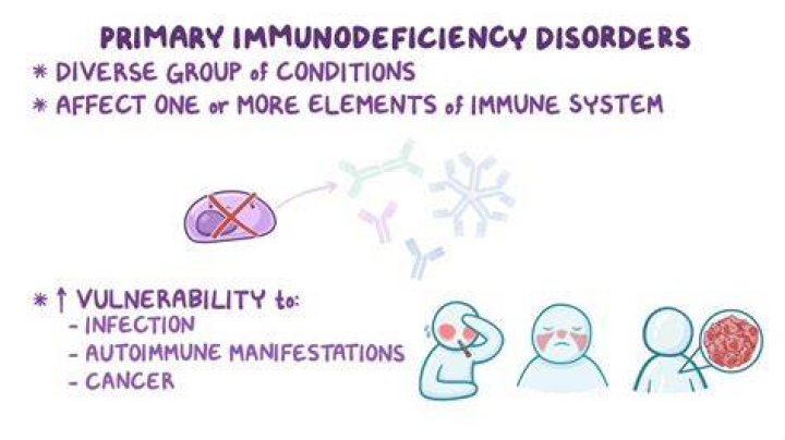 Farrah Mackenzie Illness, Health Update, Primary Immune Deficiency Disorder, Family ·