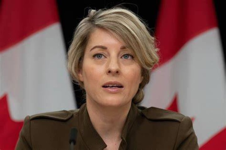 Find Out: Who Is Mlanie Joly's Husband?