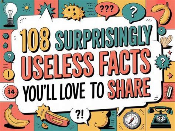 Five Surprising Facts You'll Love