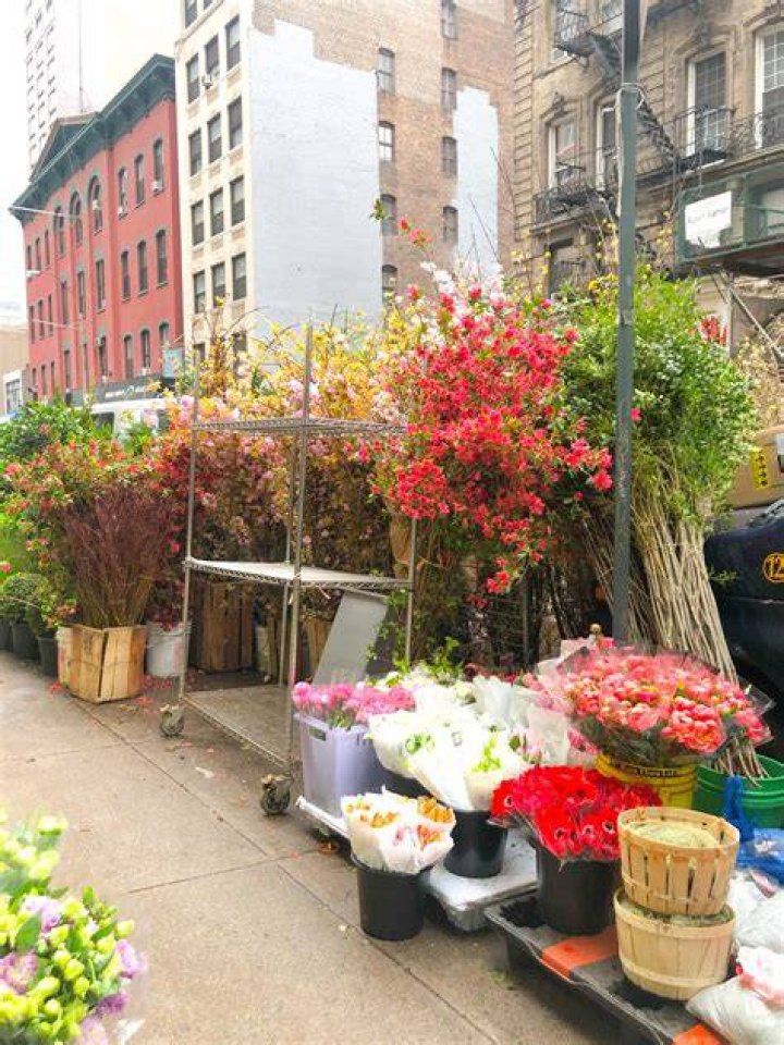 Floral Adventure New York City Flower District Golden Flowers