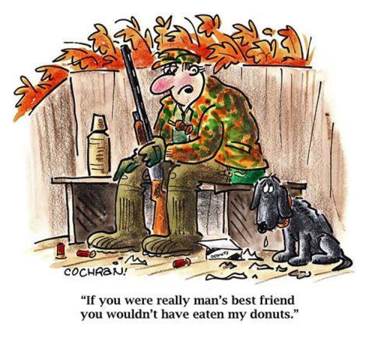 Funny Cartoons About Men