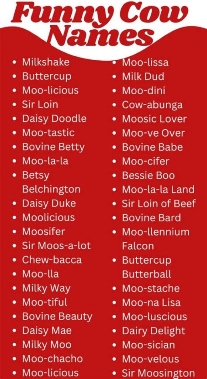 Funny Cow Names