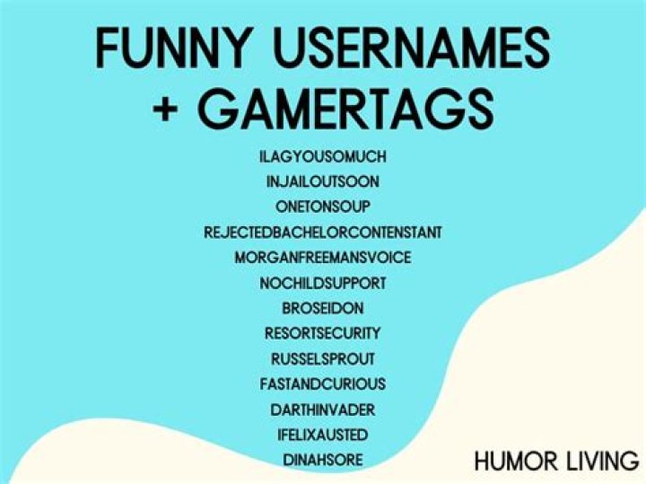 Funny Names For A Gamertag