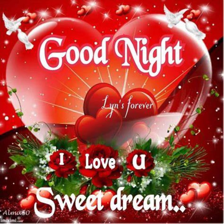 Goodnight I Love U Quotes