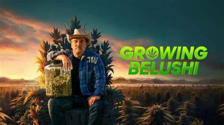 &lsquo;Growing Belushi,&rsquo; TV series about Jim Belushi&rsquo;s Oregon cannabis farm