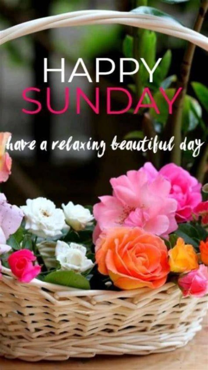 Happy Sunday Dear All 🌷 วันอาทิตย์