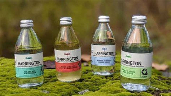 Harrington. Des eaux de source p&eacute;tillantes aux saveurs bor&eacute;ales