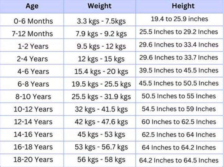 Height, Weight, Age, And Basketball Journey