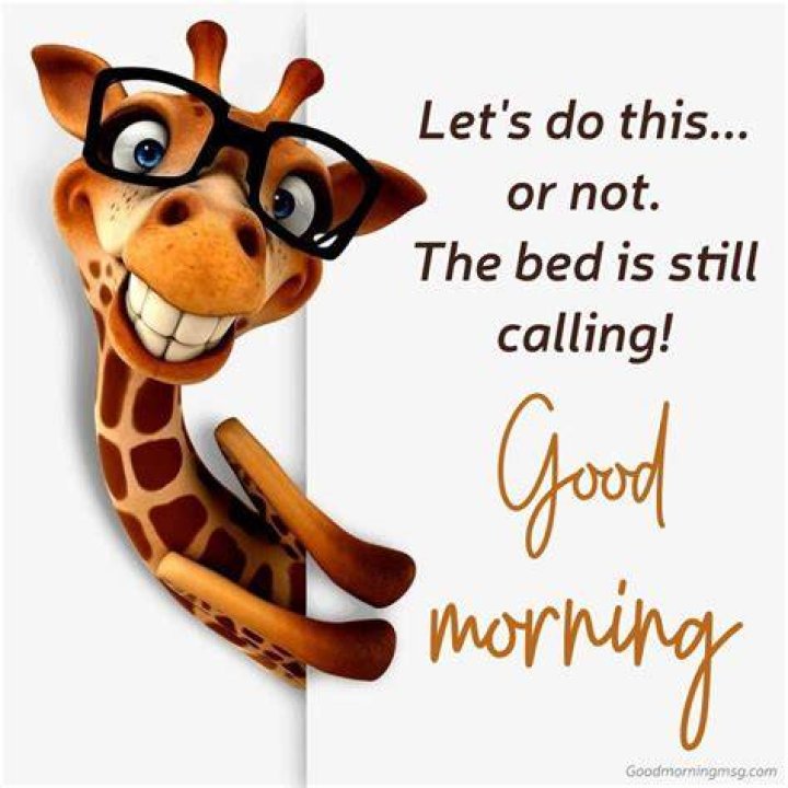 Hilarious Good Morning Messages