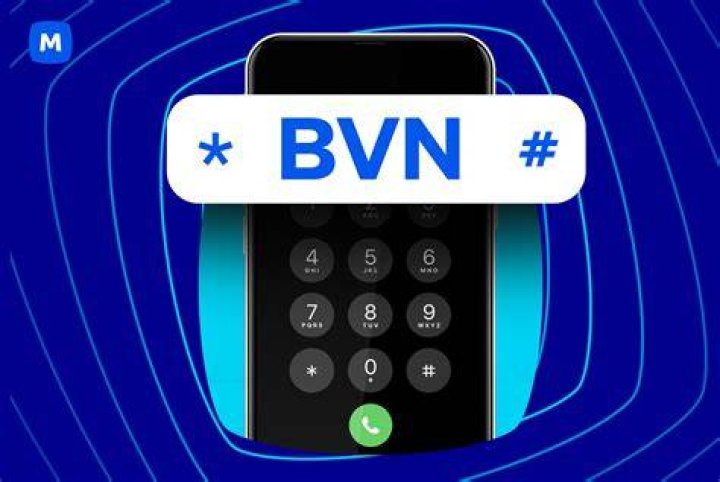 How To Check Your BVN Steps To Follow