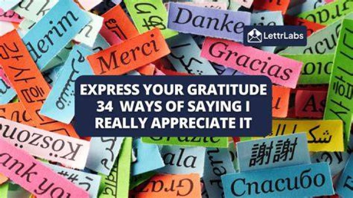 How To Express "I Really Appreciate It" With Sincerity And Gratitude