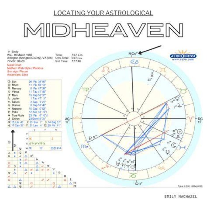 How Your Midheaven Sign Affects Your Career &mdash; The Zen Succulent