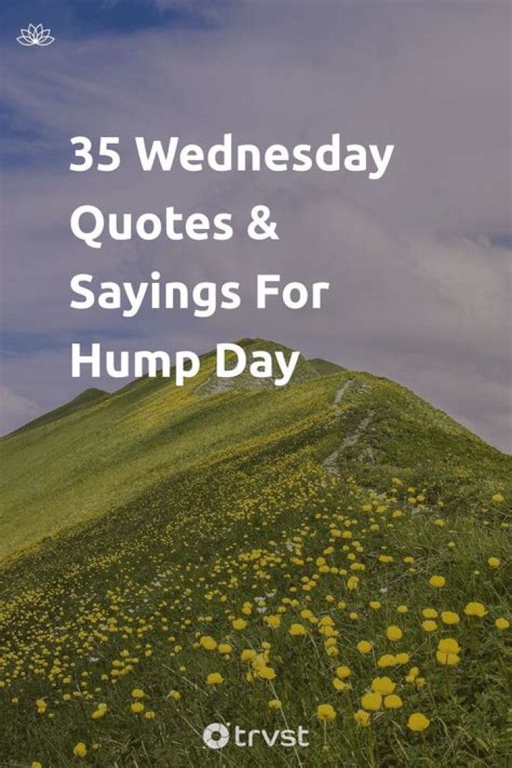 Hump Day Quotes And Sayings