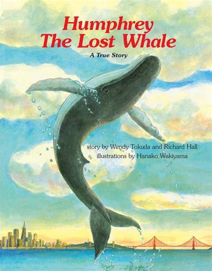 Humphrey The Lost Whale A True Story YouTube