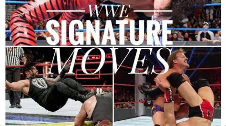 Insane MMA Fighter use WWE legend Chris Jerichos signature move to win the fight ·