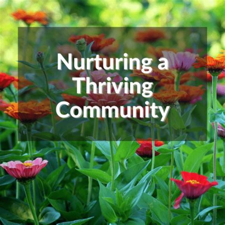 Insights And Discoveries For A Thriving Community