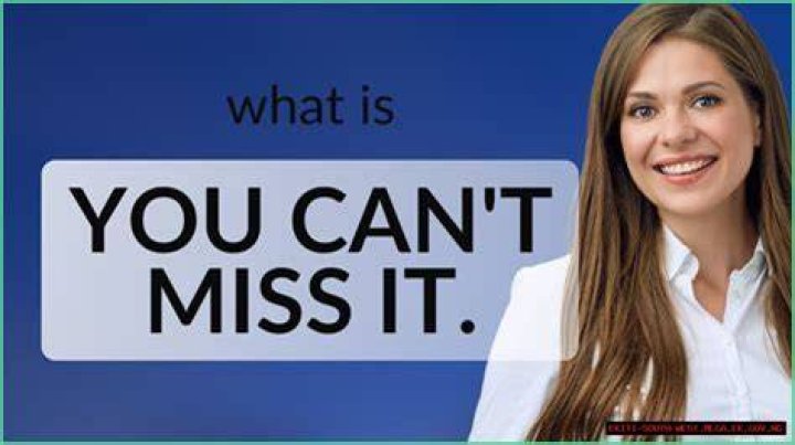 Insights And Discoveries You Can't Miss