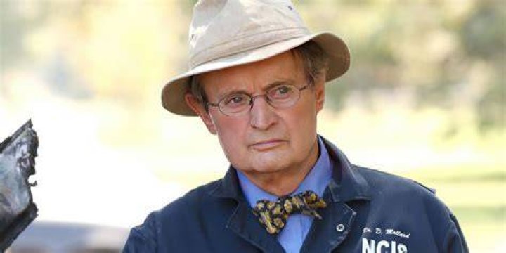 Is Ducky, The Beloved Character From NCIS, Dead In Real Life?