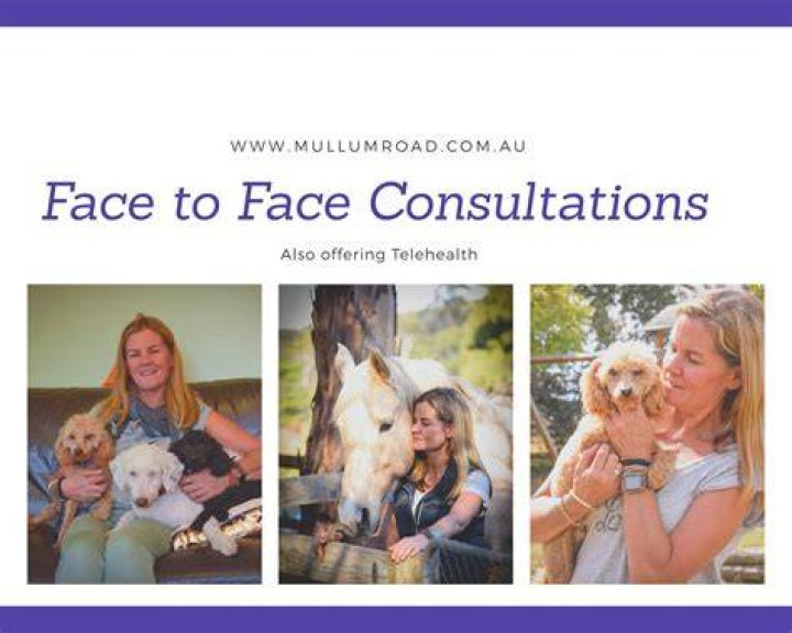Jacinta HoranSmith Mullum Road Psychology Clinic & Equine Therapy