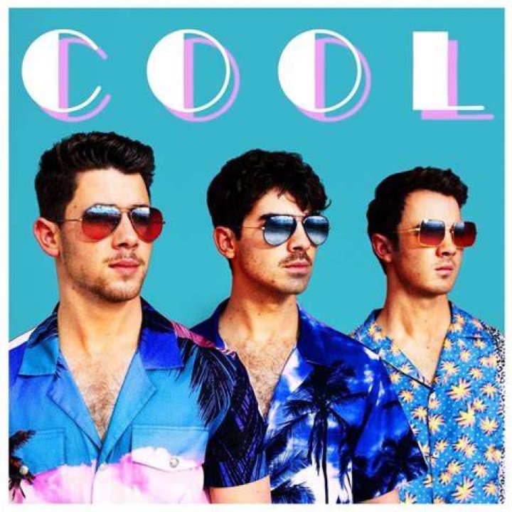 Jonas Brothers 'Cool' Music Video: Song Lyrics, References