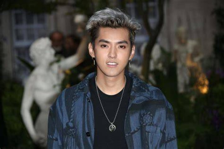 Kris Wu's Mother: The Woman Behind The Star