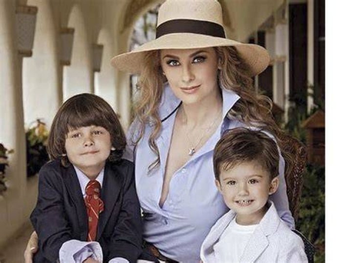 Las inesperadas declaraciones de Aracely Ar&aacute;mbula sobre los hijos que