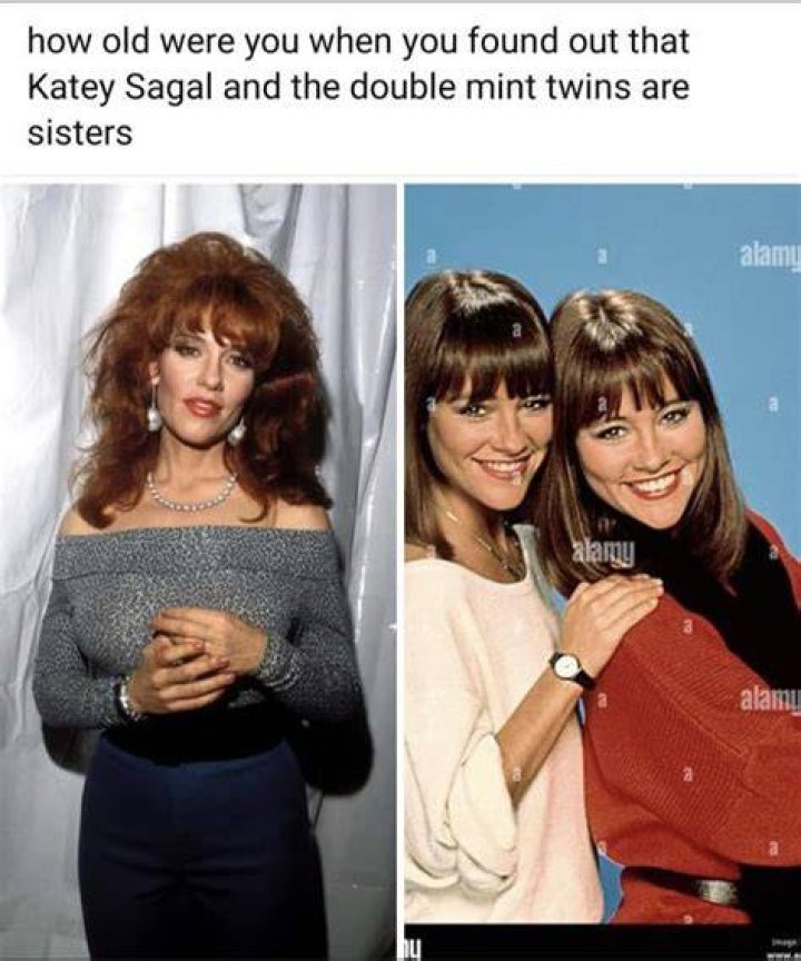 Liz Sagal's Siblings: A Comprehensive Guide To Her Family
