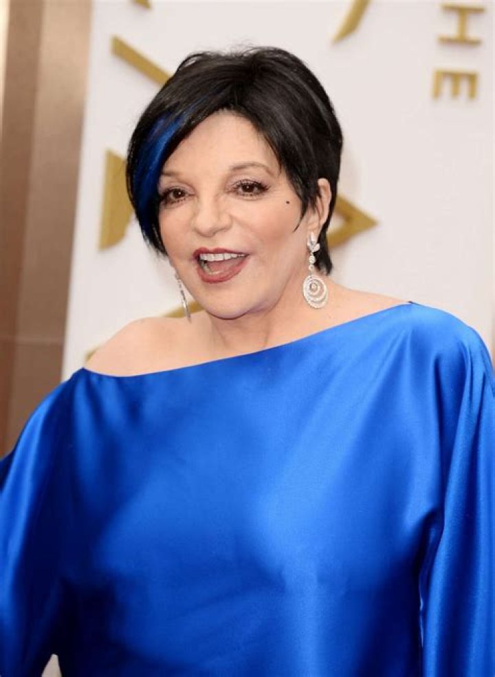 Liza Minnelli review Even without big notes, singer wows