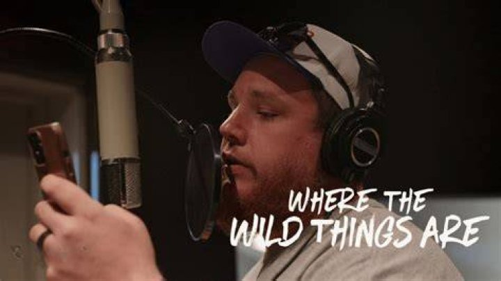Luke Combs' Where The Wild Things Are: Dive Into The Enchanting Lyrics