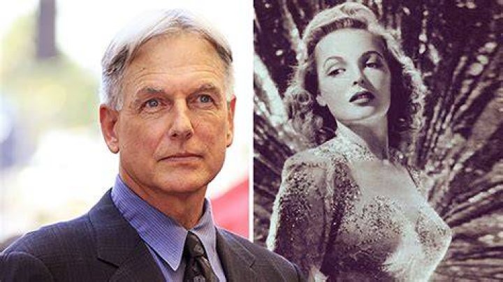 Mark Harmon&rsquo;s Family Tree Who Are His Famous Relatives..? Curious World